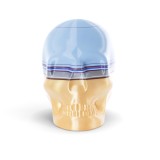 skull 40